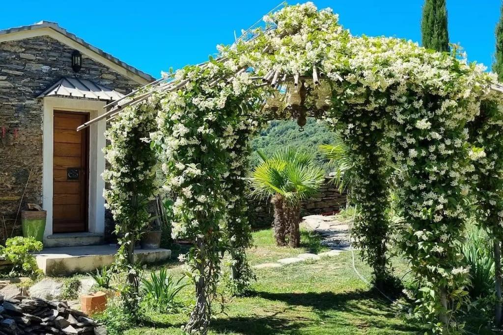 Domaine Colonna-Santini, Gite Piscine, Sauna, Spa Porri Экстерьер фото